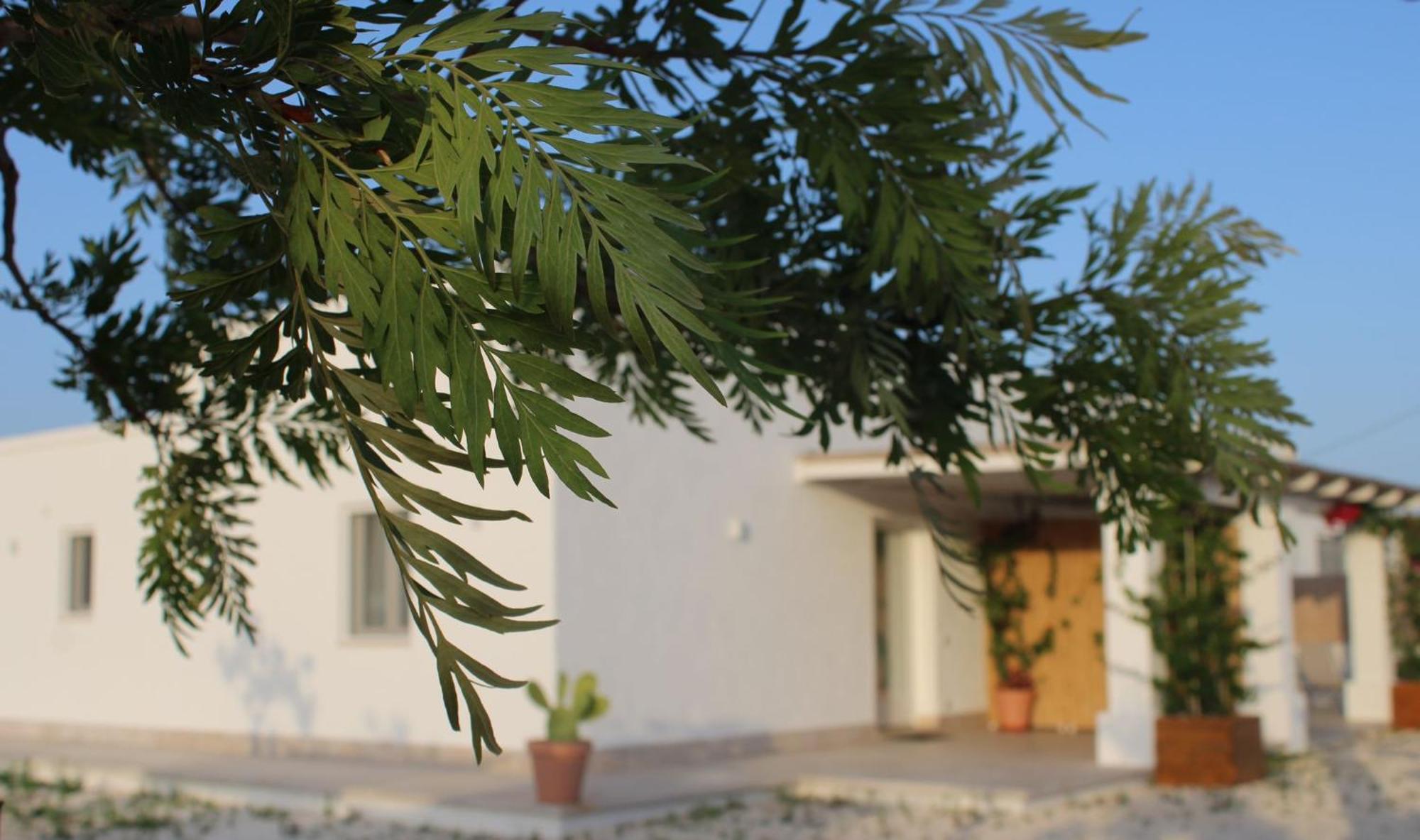Villa Susca - Villa Sul Mare Monopoli Εξωτερικό φωτογραφία